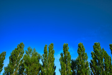 大空にそびえる