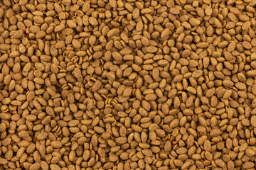 Food for animals background. Dry cat and dog food texture. Pet meal background close up