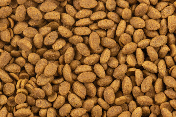 Food for animals background. Dry cat and dog food texture. Pet meal background close up