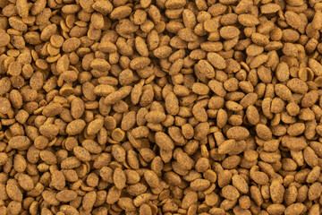 Food for animals background. Dry cat and dog food texture. Pet meal background close up