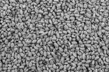 Food for animals background. Dry cat and dog food texture. Pet meal background close up