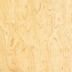 plywood texture with natural wood pattern; plywood texture for background