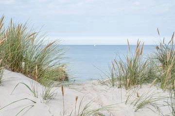 dunes with swaying beach rye and a sailboat at the horizon