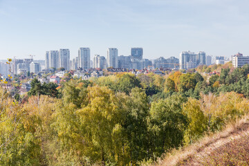 Modern city with multistory buildings and trees on a foreground