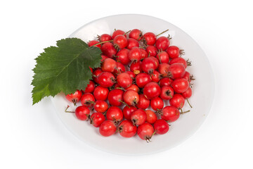 Harvested fruits of hawthorn and hawthorn leaf on white dish