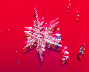 Snowflakes on a red background with reflection.