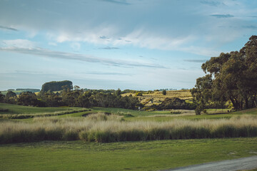 Fototapeta na wymiar Golf course landscapes of Mount Compass golf course, South Australia, Australia