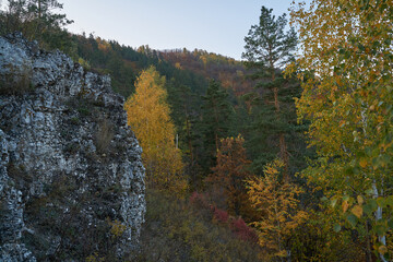 Autumn view from the mountain to the big river, in the forest with Golden leaves and green fir trees. Autumn time in the forest.
