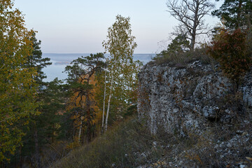 Autumn view from the mountain to the big river, in the forest with Golden leaves and green fir trees. Autumn time in the forest.