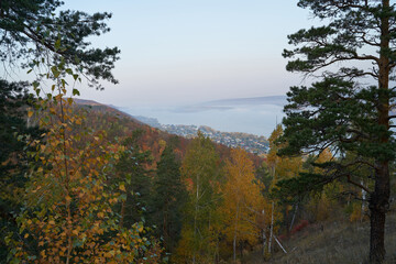 Obraz premium Autumn view from the mountain to the big river, in the forest with Golden leaves and green fir trees. Autumn time in the forest.