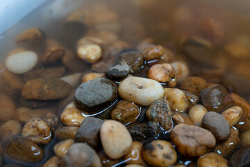 The pebbles that emerged a little above the water and were still wet.