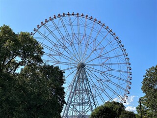 Fototapeta premium 観覧車