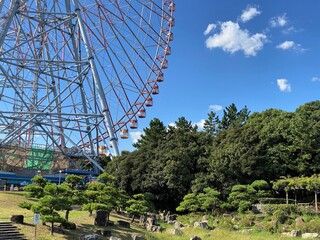 Fototapeta premium 木々の茂る遊び場