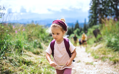 Portrait of small toddler girl outdoors in summer nature, walking.