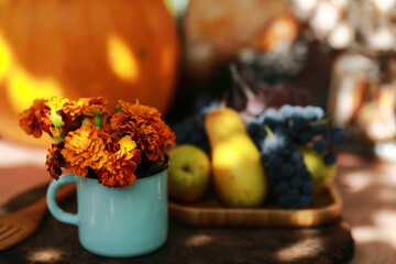 autumn still life with flowers, fruits and pumpkins