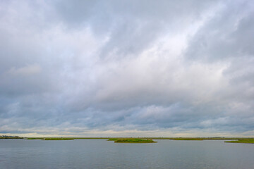 The edge of a lake in a green windy rainy wetland in spare sunlight under a grey white cloudy sky in autumn, Almere, Flevoland, The Netherlands, October 4, 2020