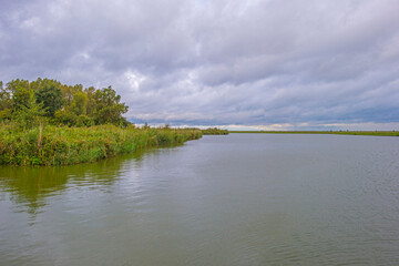 The edge of a lake in a green windy rainy wetland in spare sunlight under a grey white cloudy sky in autumn, Almere, Flevoland, The Netherlands, October 4, 2020