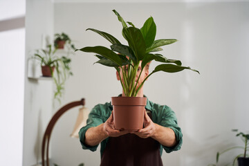 Male florist holding plant in pot