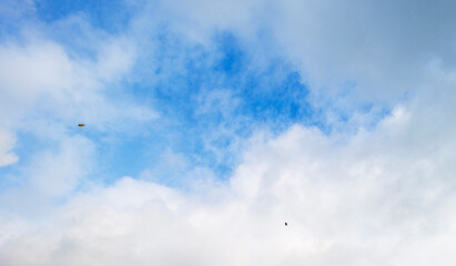 Fototapeta premium Leaves blowing in the wind in a panorama of white clouds in a blue cloudy sunlit sky in autumn, Almere, Flevoland, The Netherlands, October 4, 2020