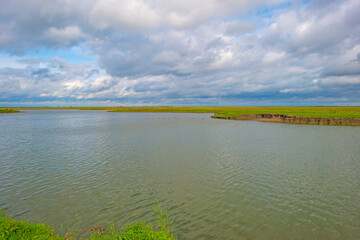 Fototapeta premium The edge of a lake in a green windy rainy wetland in spare sunlight under a grey white cloudy sky in autumn, Almere, Flevoland, The Netherlands, October 4, 2020