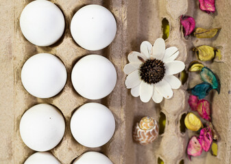 Fototapeta na wymiar eggs and artificial flowers in eggs packet