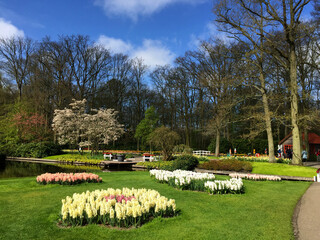 landscape of spring in the garden North Holland Netherlands