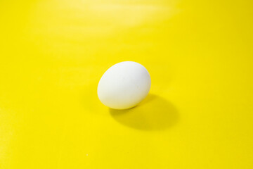 single egg on vibrant yellow background