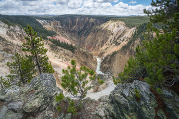 grand canyon of the yellowston from the north rim, wyoming, usa