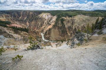 grand canyon of the yellowston from the north rim, wyoming, usa