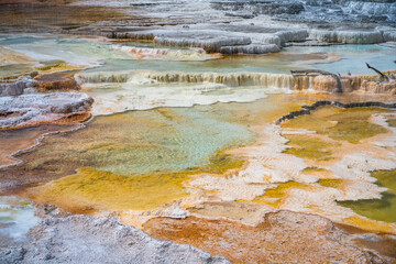 hydrothermal areas of mammoth hot springs in yellowstone national park, wyoming in the usa