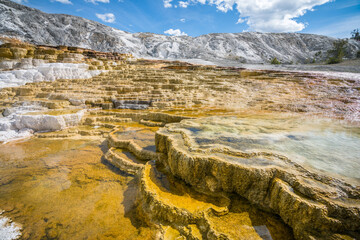 hydrothermal areas of mammoth hot springs in yellowstone national park, wyoming in the usa
