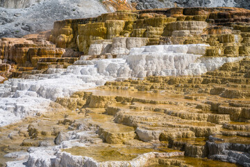 hydrothermal areas of mammoth hot springs in yellowstone national park, wyoming in the usa