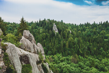 Fototapeta na wymiar High cliffs in green pine fores. Summer landscape in Skole Beskids national nature park, Ukraine