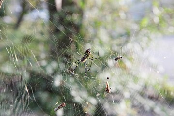 한국농촌의모습입니다