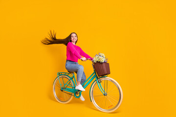 Full length profile photo of pretty girl ride bicycle flowers basket wind blow hair wear pink sweater jeans isolated yellow color background