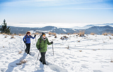 Senior couple with nordic walking poles hiking in snow-covered winter nature.