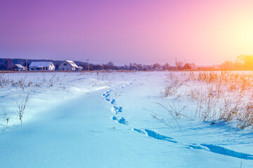 Rural landscape in winter. Countryside. Snow-covered field at sunset