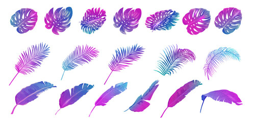 Neon Tropic Banana, Monstera, Palm Leaves Set, Vector Tropical Summer Leaf, vibrant purple template