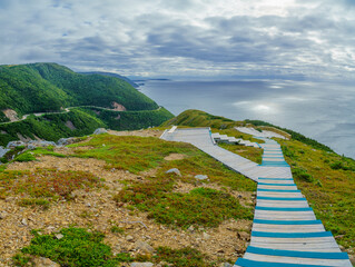 Skyline trail, in Cape Breton Highlands National Park
