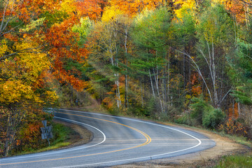 Fototapeta premium Good Morning Fall!