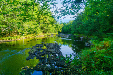 Mersey river, in Kejimkujik National Park