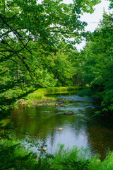 Mersey river, in Kejimkujik National Park