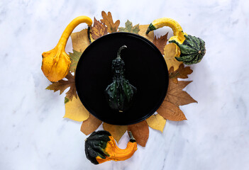 Autumn and Thanksgiving day table setting with fallen leaves and decorative pumpkins