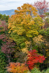 日本の秋の風景
