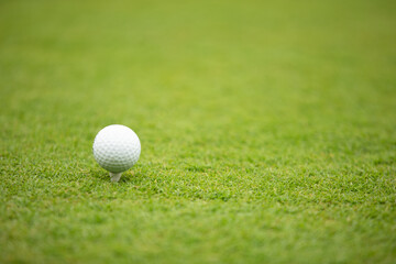 Illustration of a golf ball on a green meadow