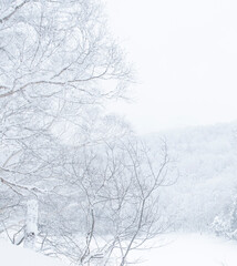 Obraz na płótnie Canvas winter snow tree cold landscape