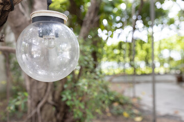 close up view of single hanging spherical light bulb decor on tree in outdoor party