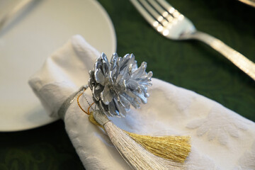 Napkin of the dining table