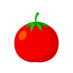Tomato isolated single simple cartoon illustration