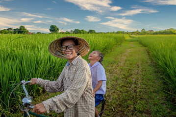 Naklejka na ściany i meble Senior Asian or elderly farmer Spinning the guard in rice fields with green rice fields and sunset sky background with sunlight